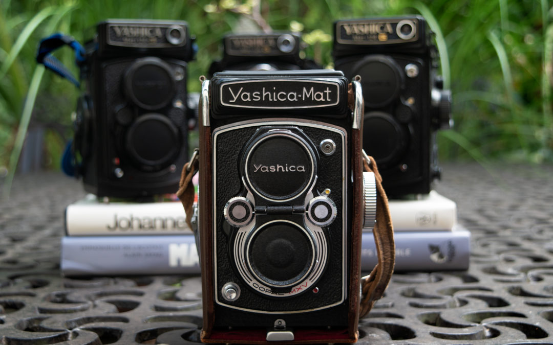 Yashica Mat Collection